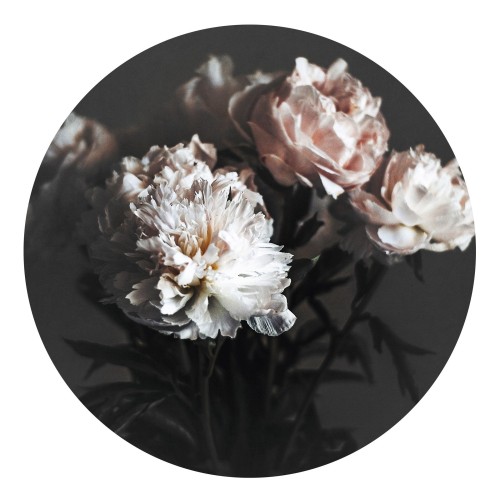 Картина BAROQUE 2 