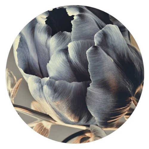 Картина BAROQUE 3 