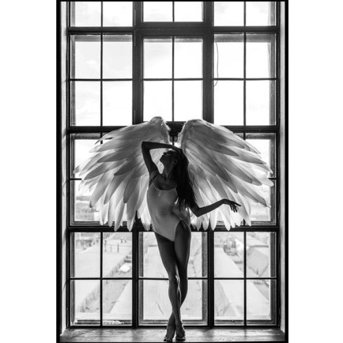 Картина ANGEL DREAM 2