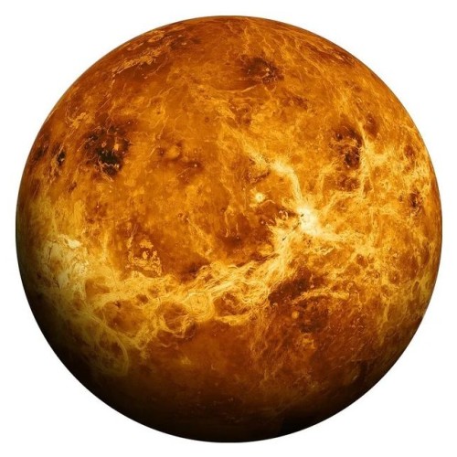 Картина VENUS UNAFFECTED 