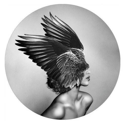 Картина DIANA 