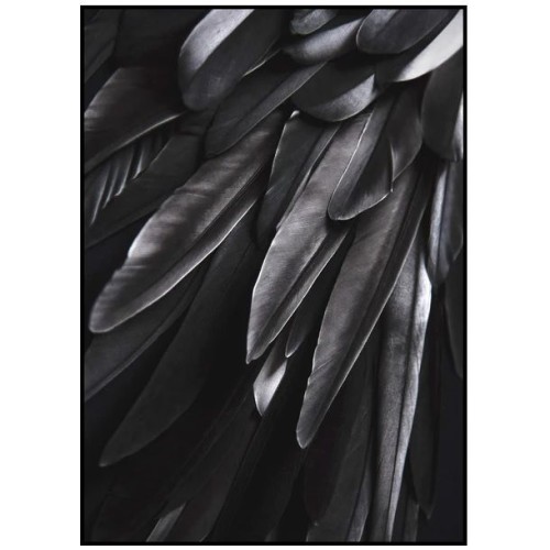 Картина BLACK WING